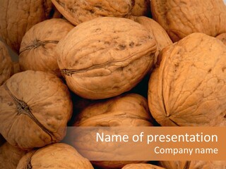 Shell Walnut Nut PowerPoint Template