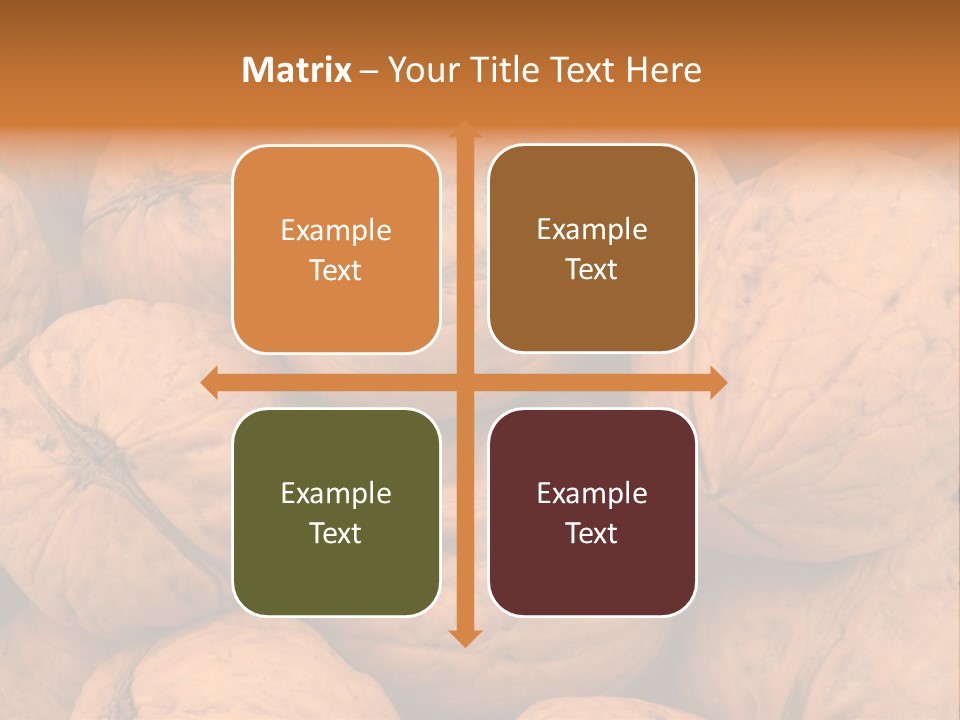 Shell Walnut Nut PowerPoint Template