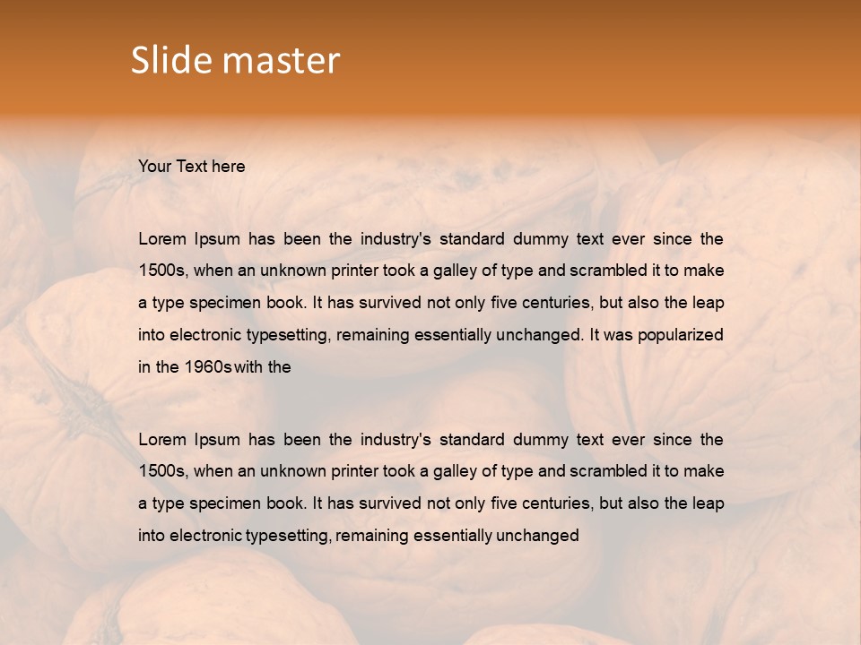 Shell Walnut Nut PowerPoint Template