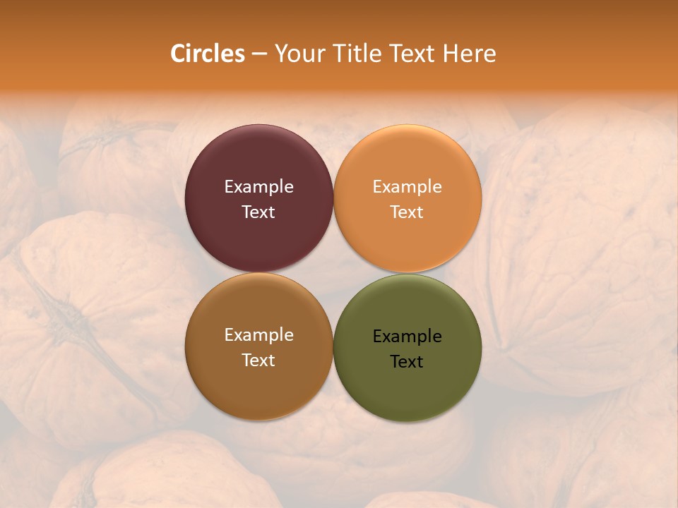 Shell Walnut Nut PowerPoint Template