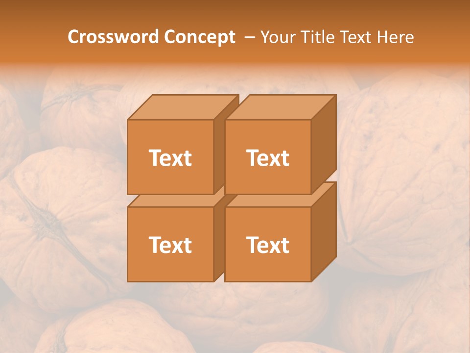 Shell Walnut Nut PowerPoint Template