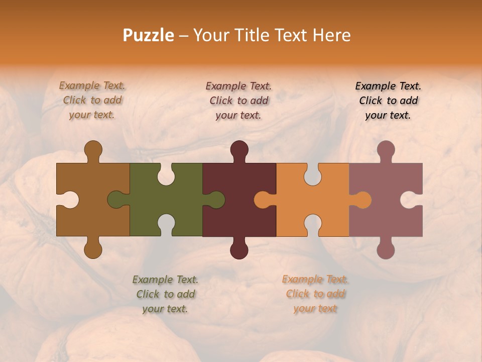 Shell Walnut Nut PowerPoint Template