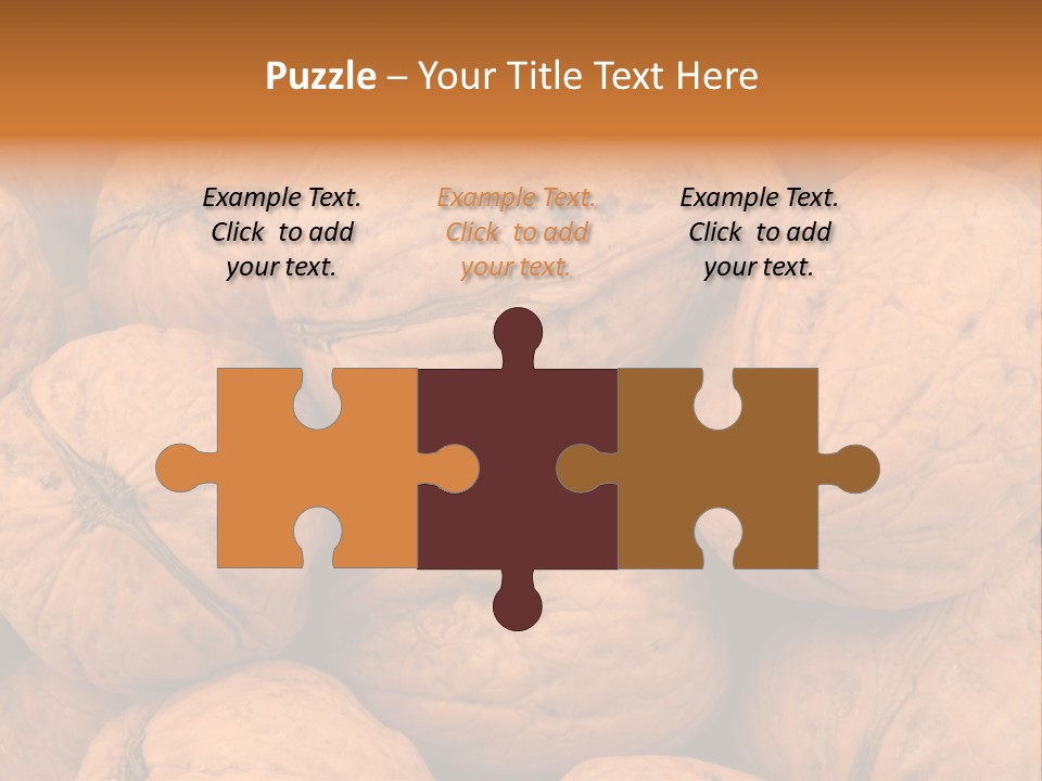 Shell Walnut Nut PowerPoint Template