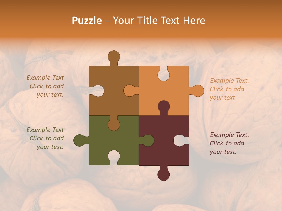 Shell Walnut Nut PowerPoint Template