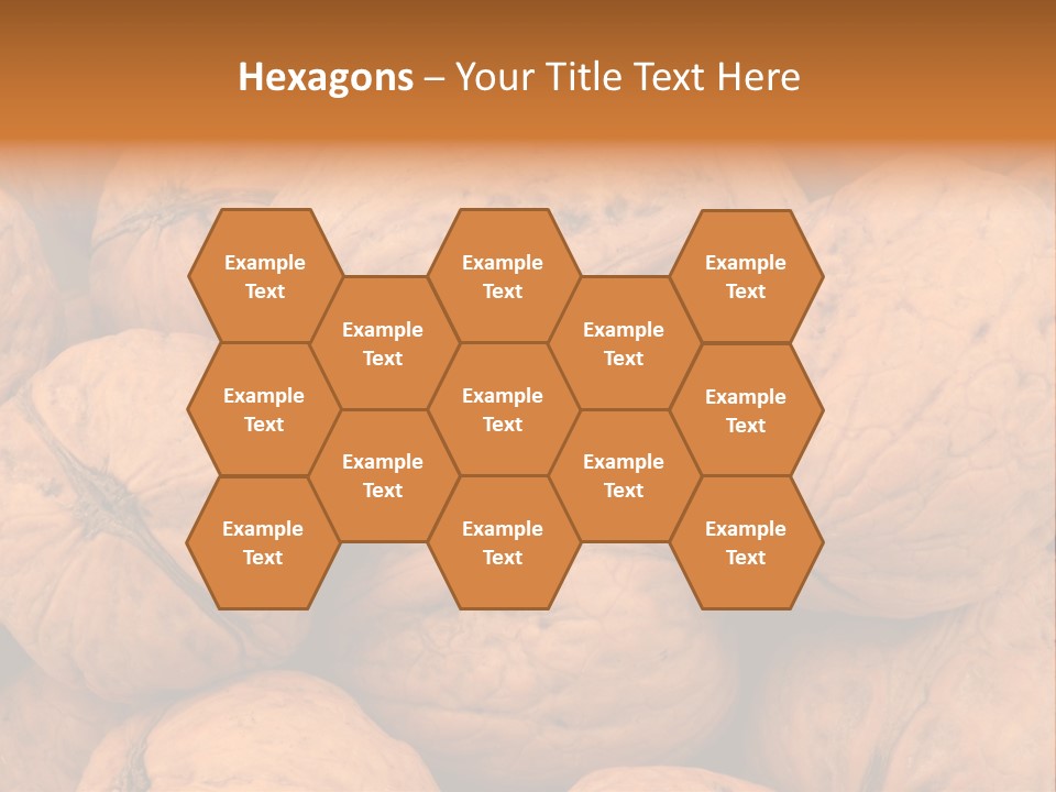 Shell Walnut Nut PowerPoint Template