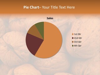 Shell Walnut Nut PowerPoint Template