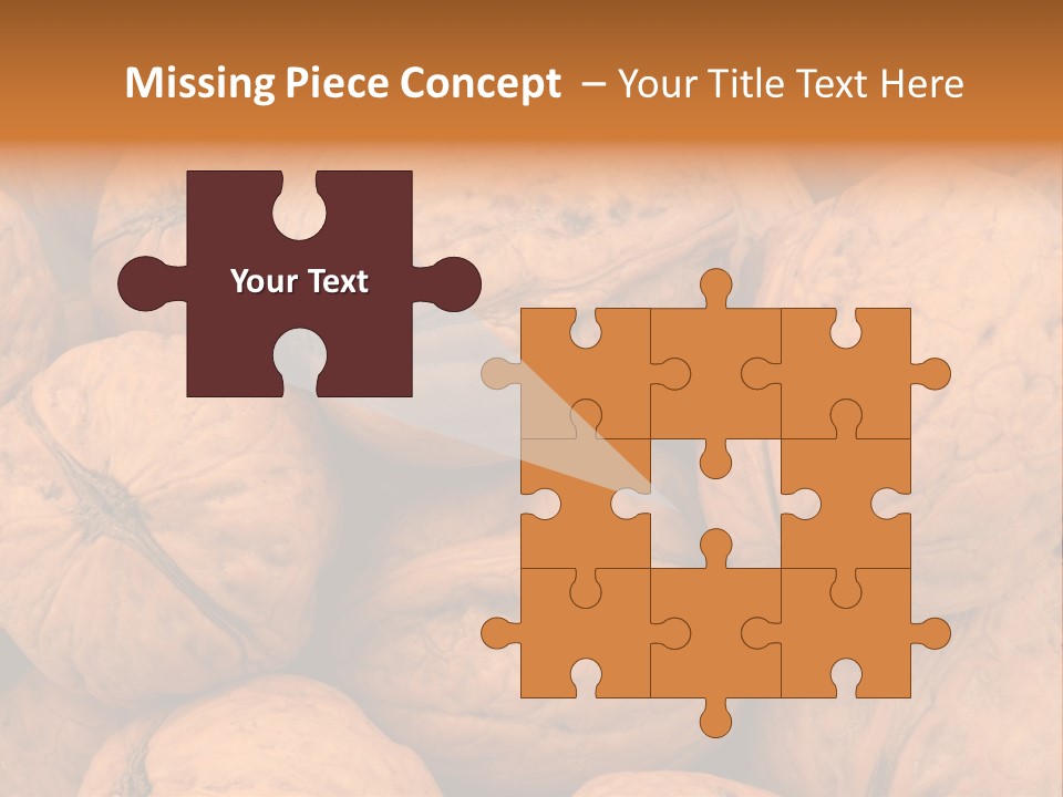 Shell Walnut Nut PowerPoint Template