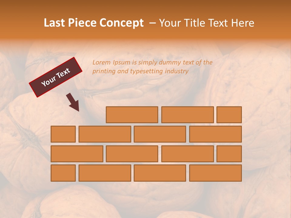 Shell Walnut Nut PowerPoint Template