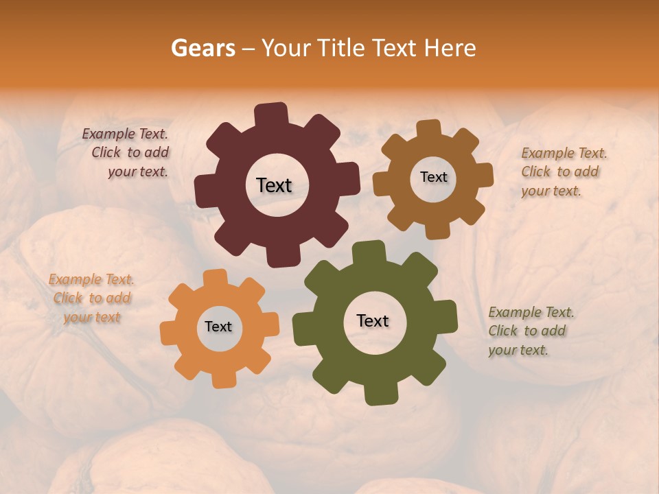Shell Walnut Nut PowerPoint Template