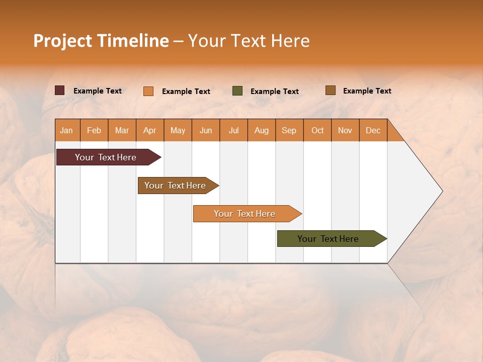 Shell Walnut Nut PowerPoint Template
