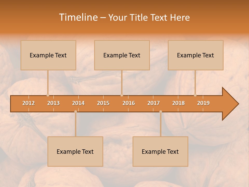 Shell Walnut Nut PowerPoint Template