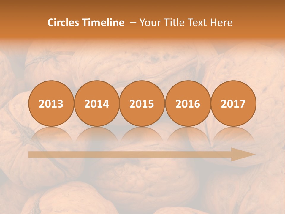 Shell Walnut Nut PowerPoint Template