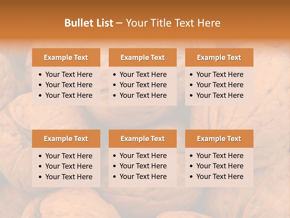 Shell Walnut Nut PowerPoint Template