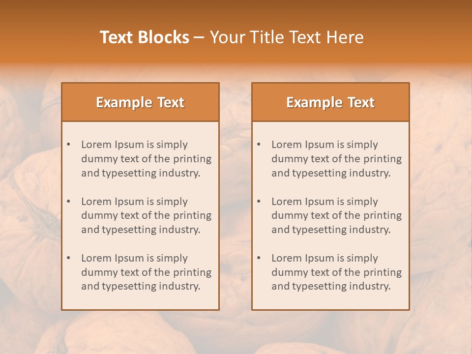 Shell Walnut Nut PowerPoint Template