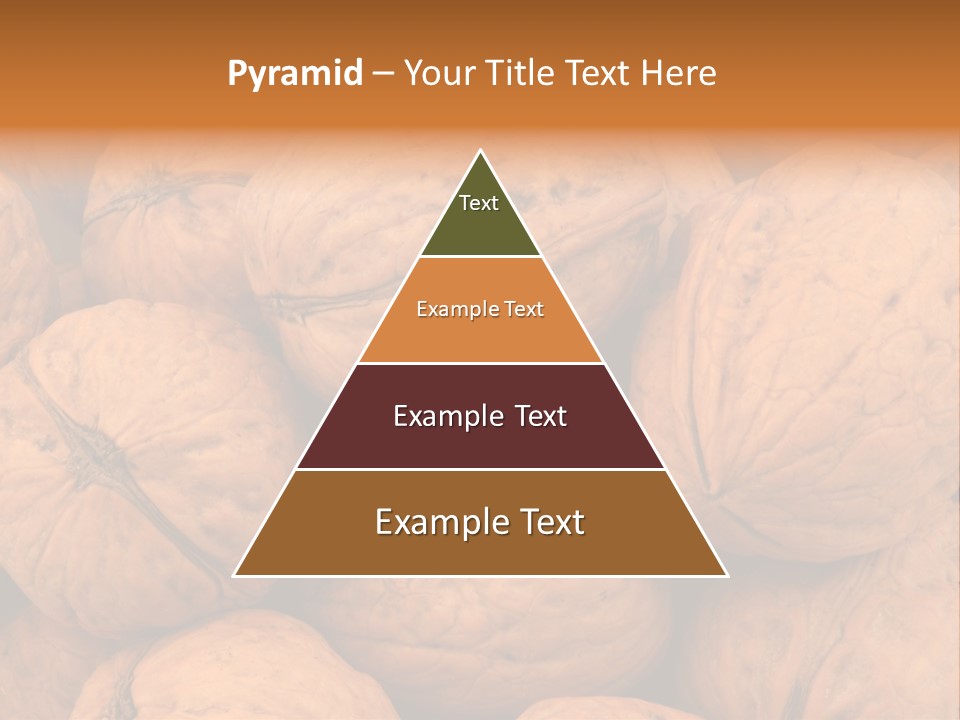 Shell Walnut Nut PowerPoint Template