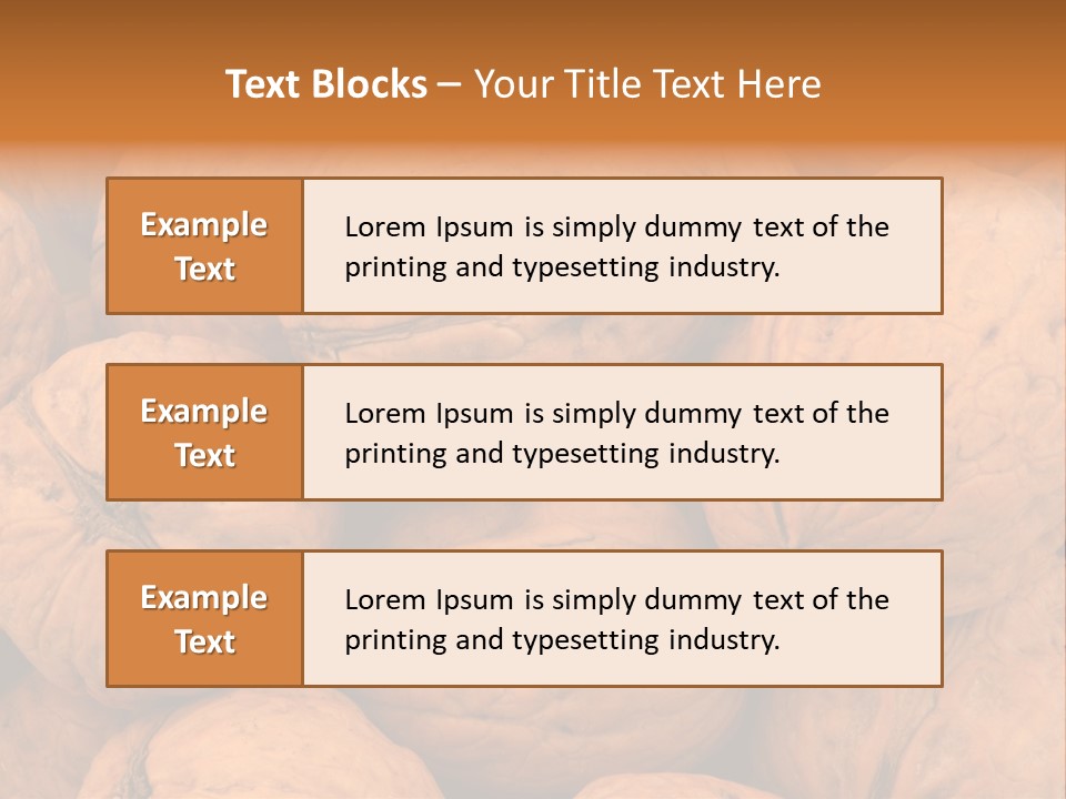 Shell Walnut Nut PowerPoint Template