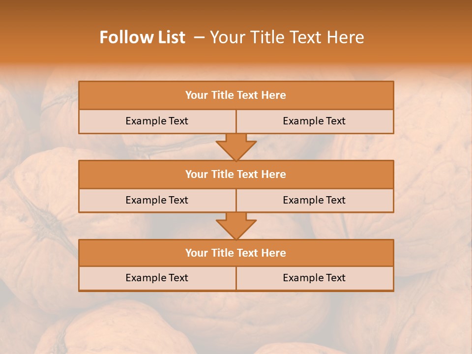 Shell Walnut Nut PowerPoint Template