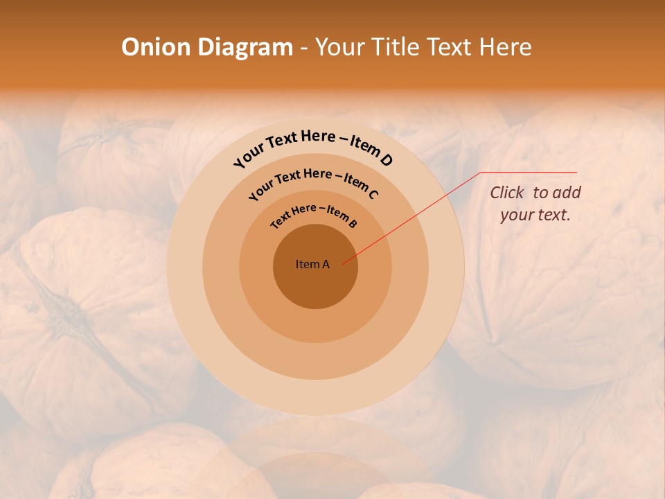Shell Walnut Nut PowerPoint Template