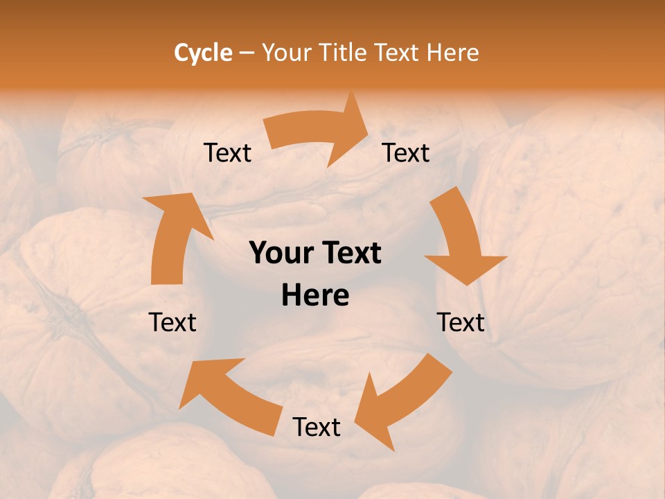 Shell Walnut Nut PowerPoint Template