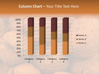 Shell Walnut Nut PowerPoint Template