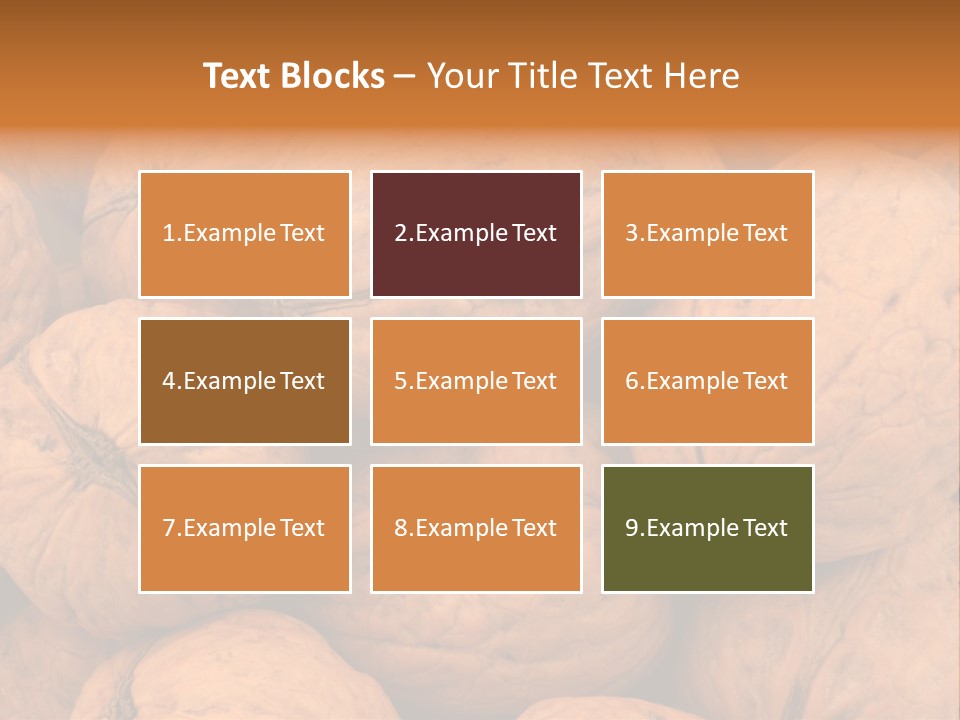 Shell Walnut Nut PowerPoint Template