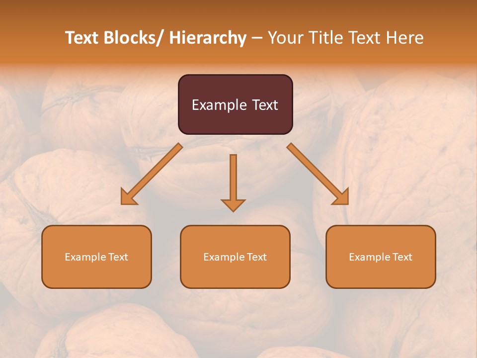 Shell Walnut Nut PowerPoint Template