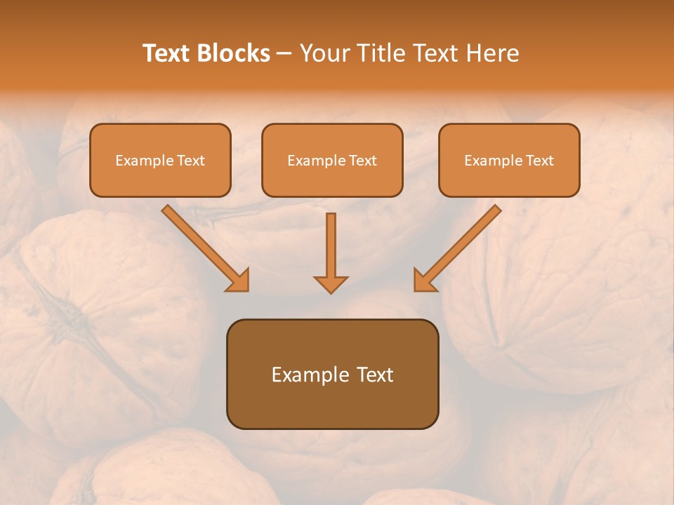 Shell Walnut Nut PowerPoint Template
