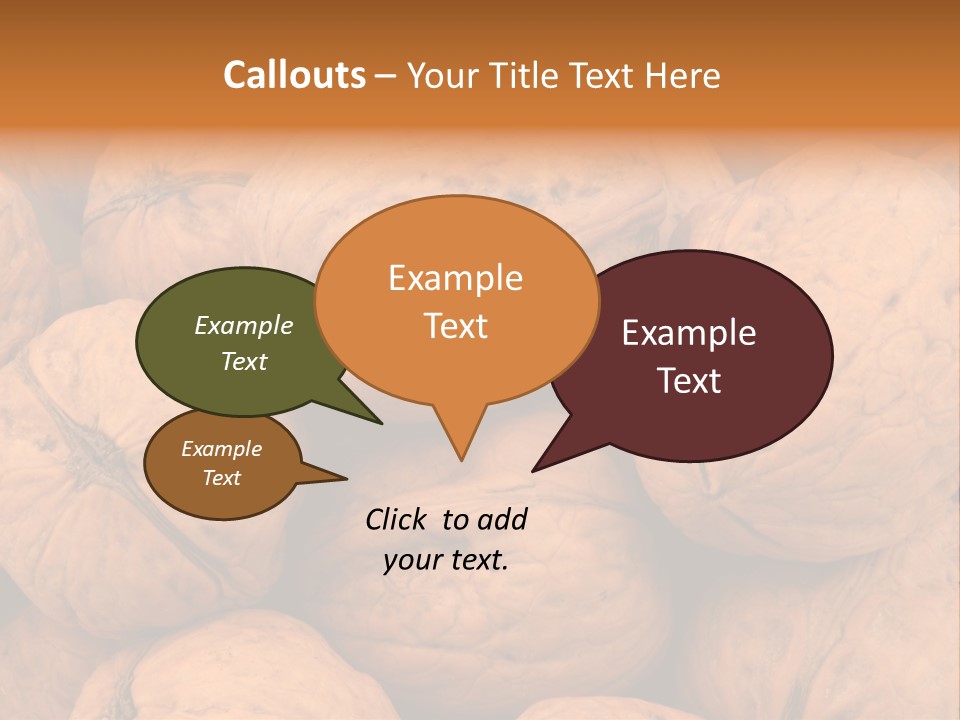 Shell Walnut Nut PowerPoint Template