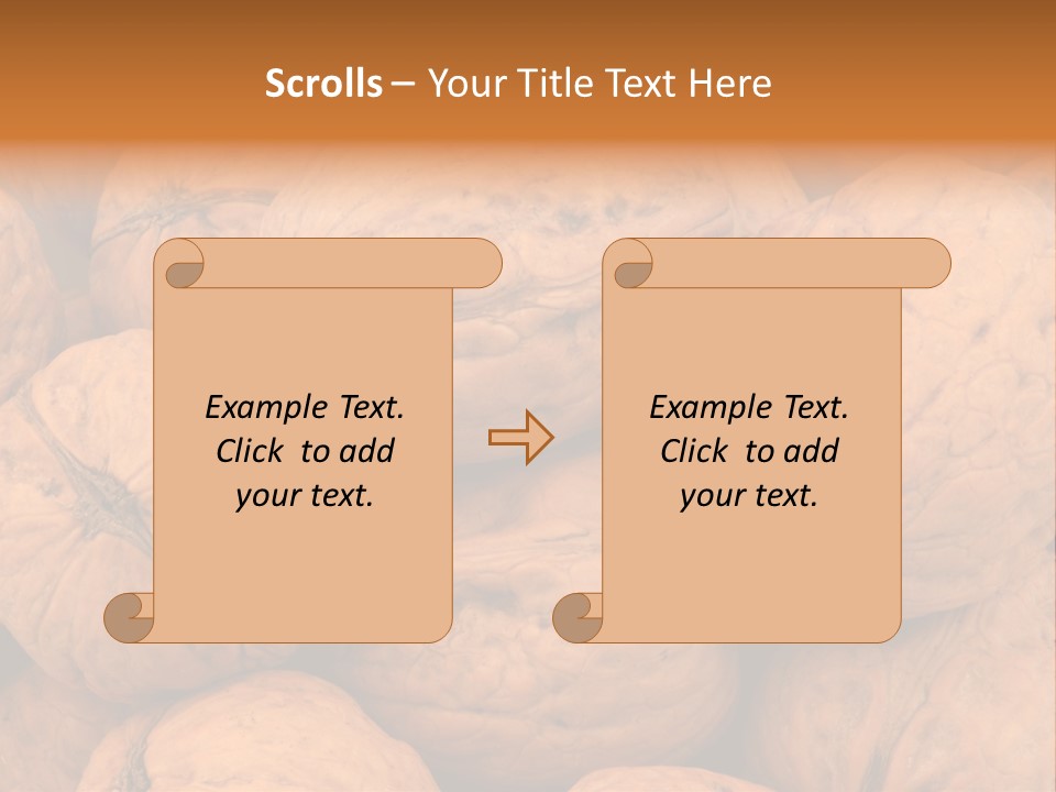 Shell Walnut Nut PowerPoint Template