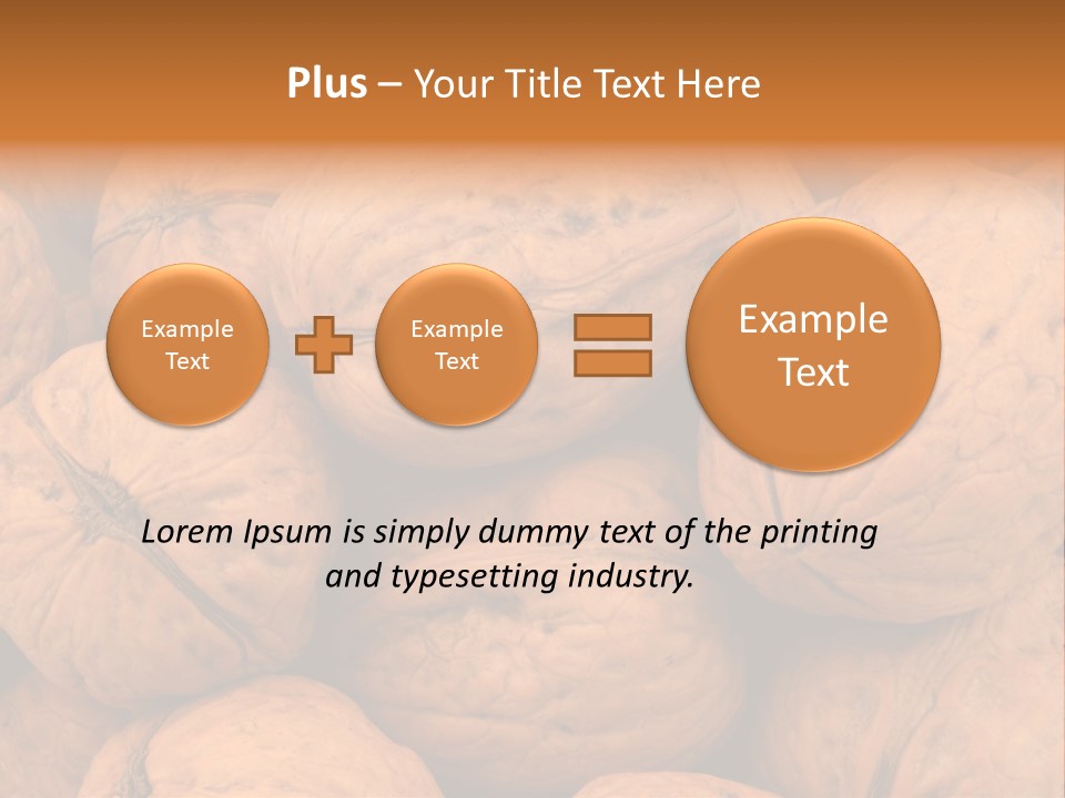 Shell Walnut Nut PowerPoint Template