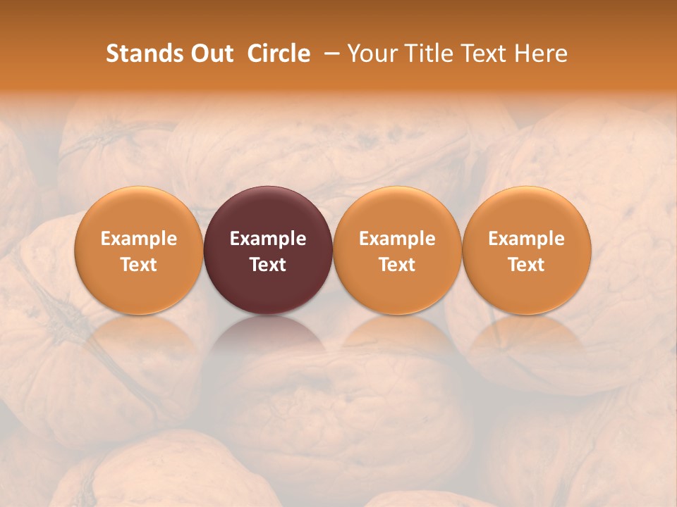 Shell Walnut Nut PowerPoint Template