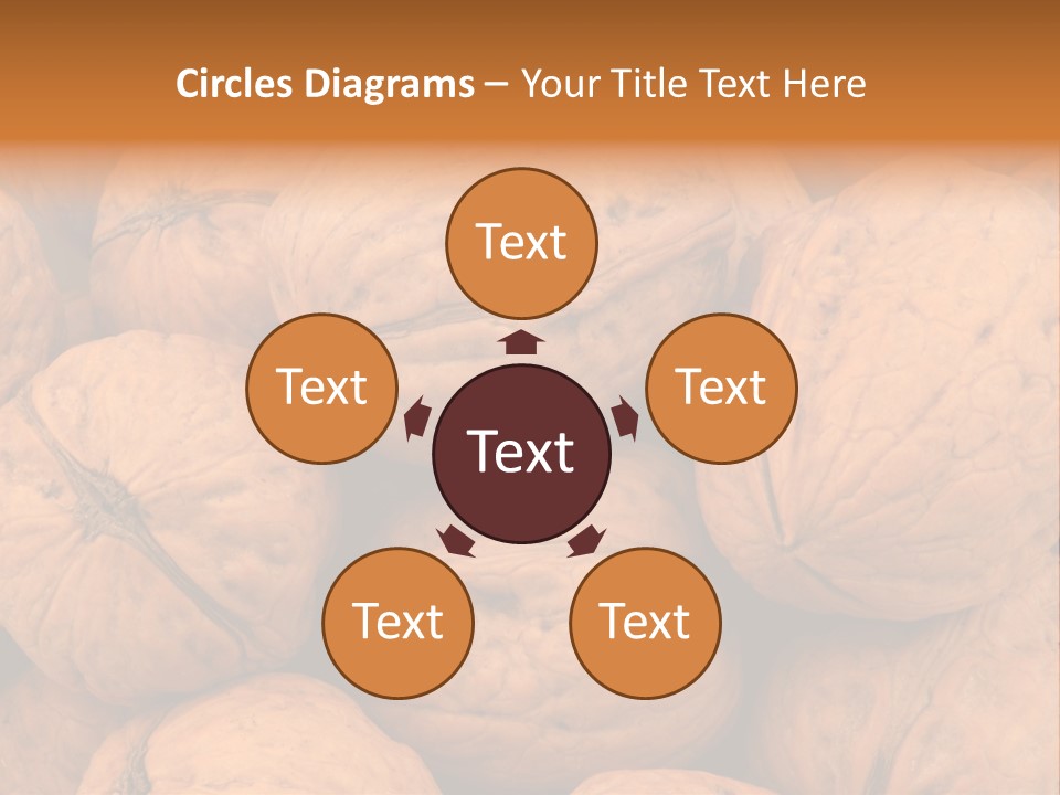 Shell Walnut Nut PowerPoint Template