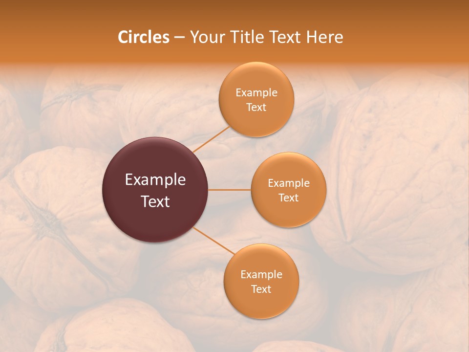 Shell Walnut Nut PowerPoint Template