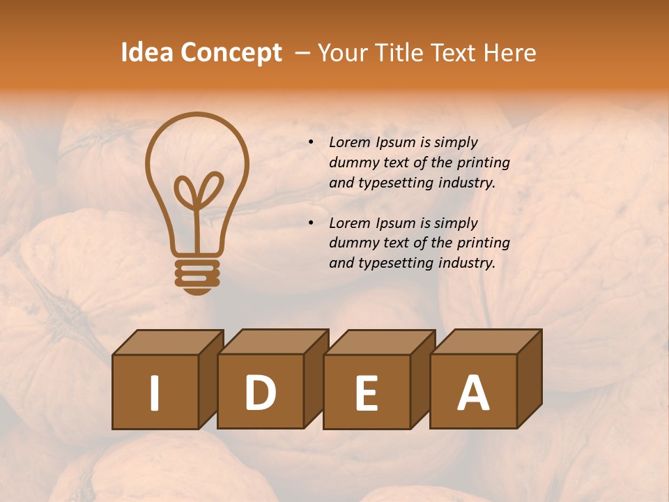 Shell Walnut Nut PowerPoint Template