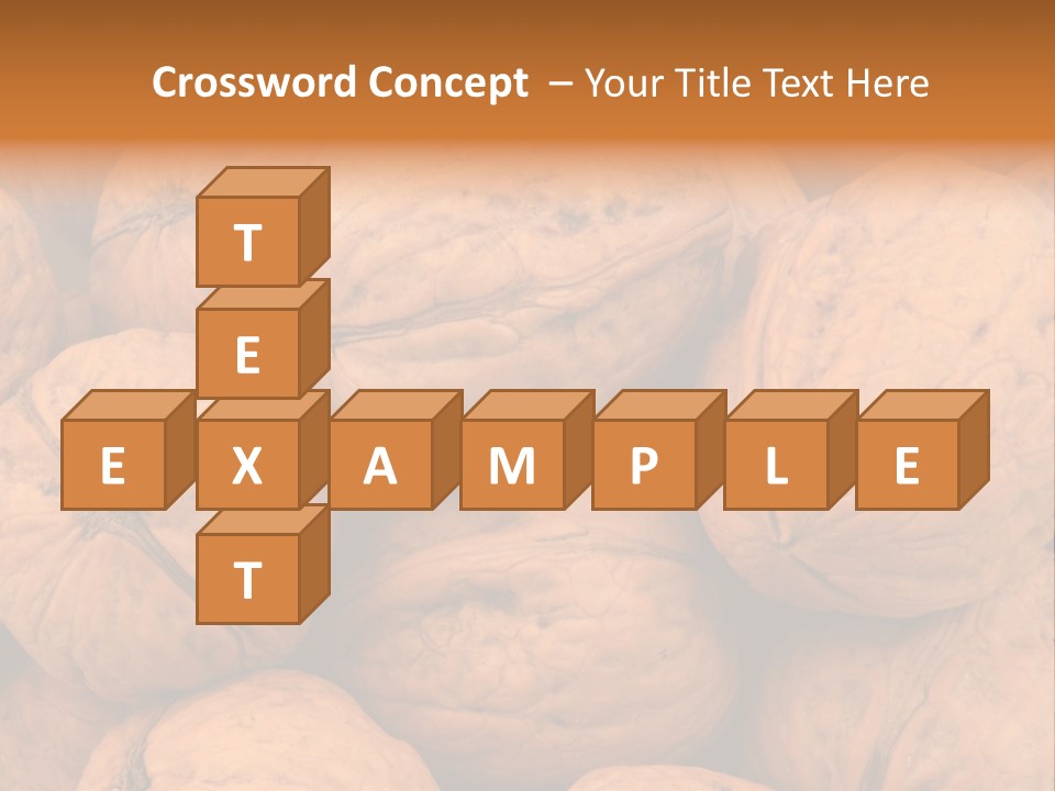 Shell Walnut Nut PowerPoint Template