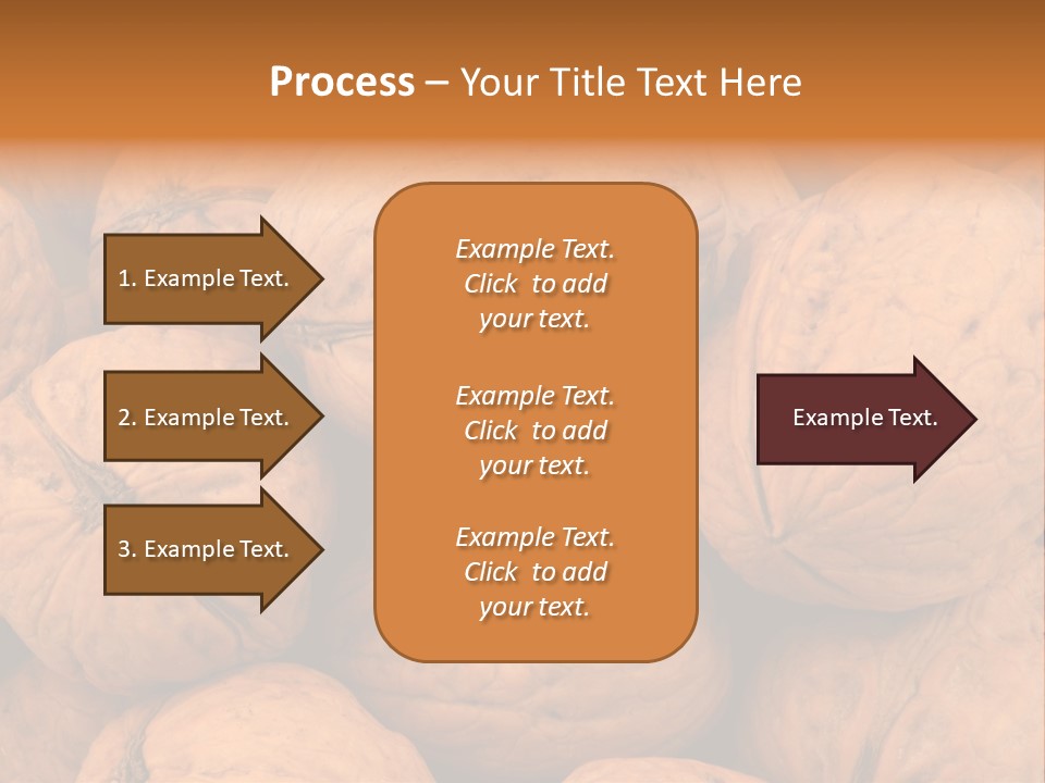 Shell Walnut Nut PowerPoint Template
