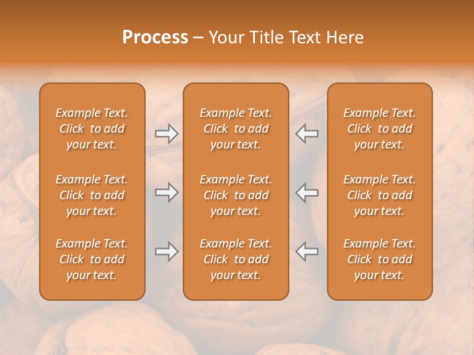 Shell Walnut Nut PowerPoint Template
