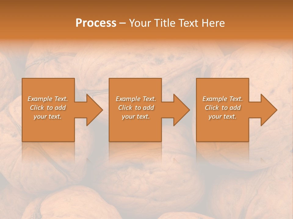Shell Walnut Nut PowerPoint Template