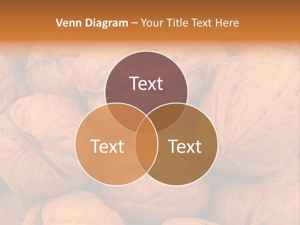 Shell Walnut Nut PowerPoint Template