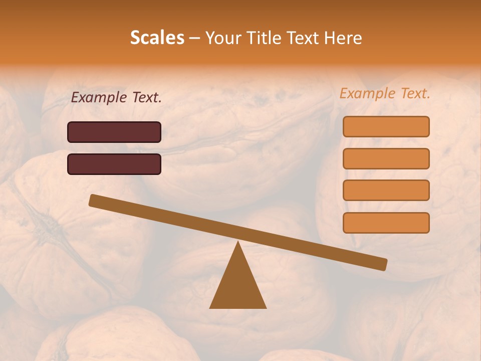 Shell Walnut Nut PowerPoint Template