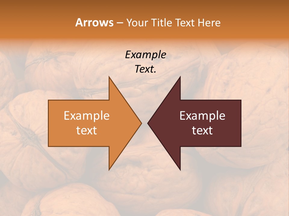 Shell Walnut Nut PowerPoint Template