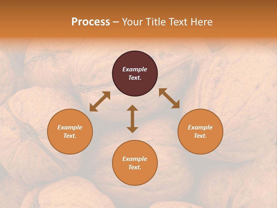 Shell Walnut Nut PowerPoint Template