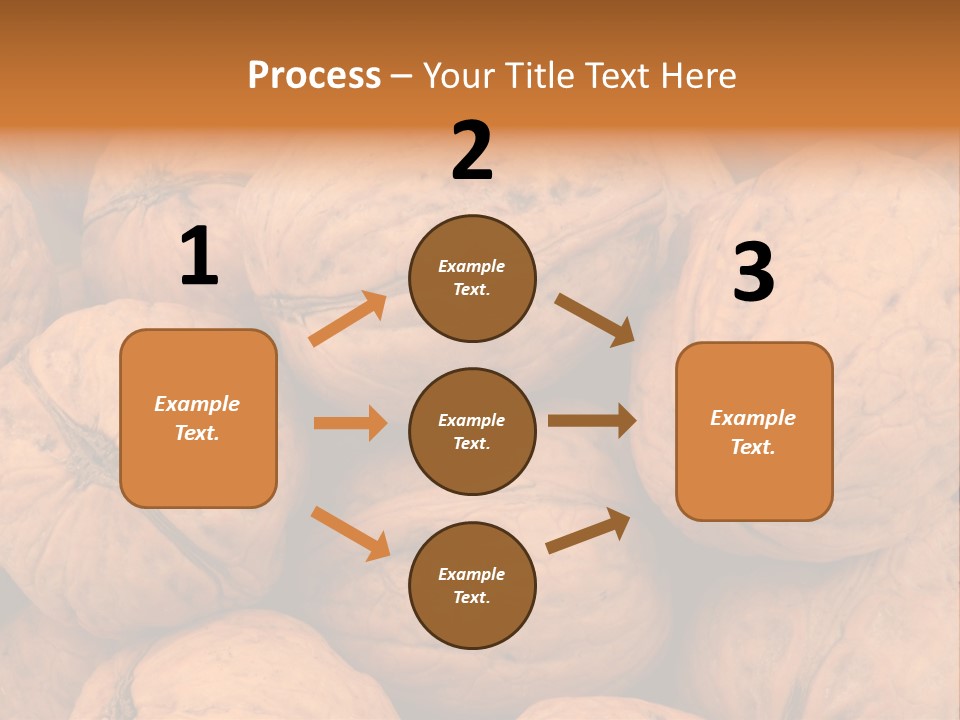 Shell Walnut Nut PowerPoint Template