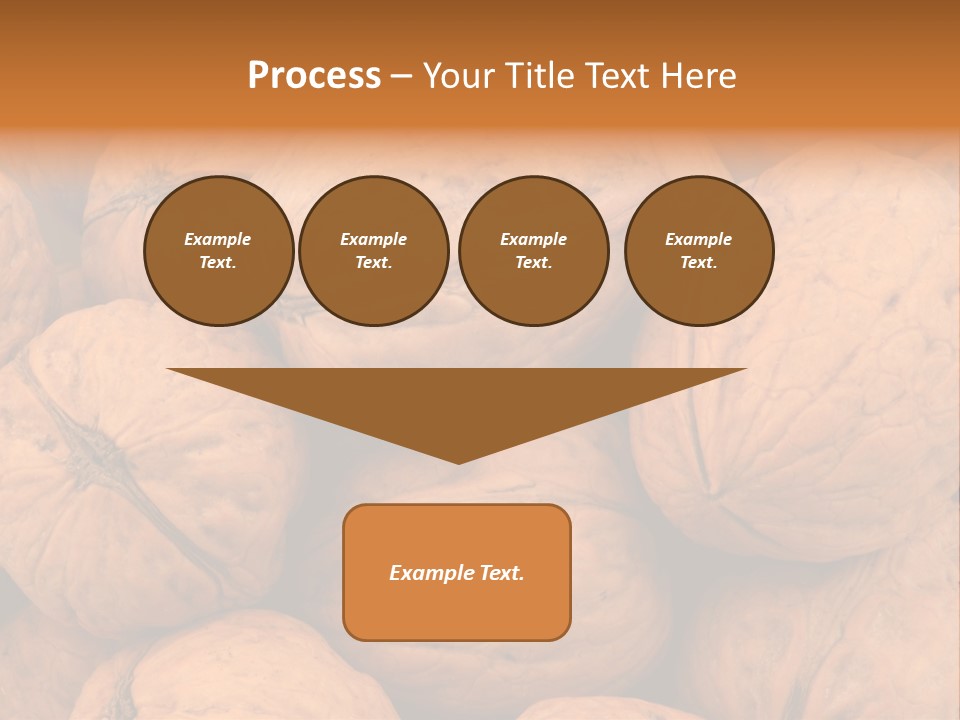 Shell Walnut Nut PowerPoint Template
