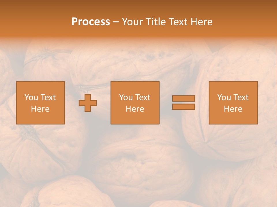 Shell Walnut Nut PowerPoint Template