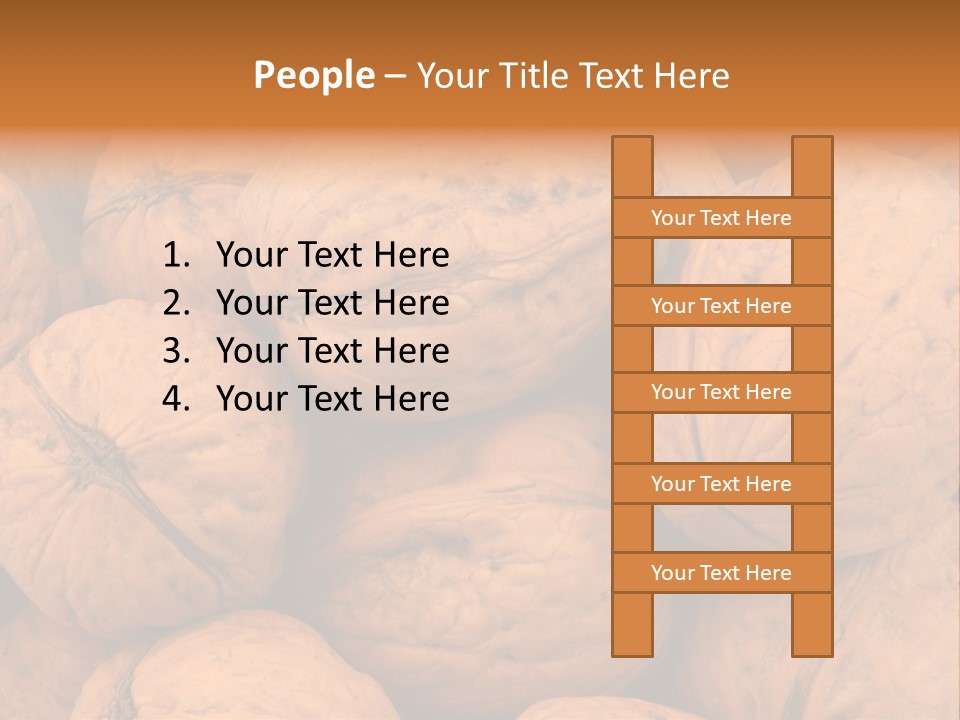 Shell Walnut Nut PowerPoint Template
