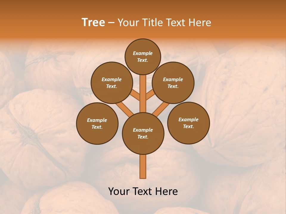 Shell Walnut Nut PowerPoint Template