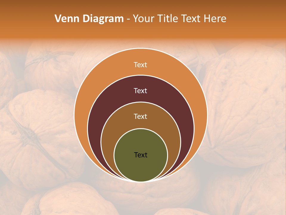 Shell Walnut Nut PowerPoint Template