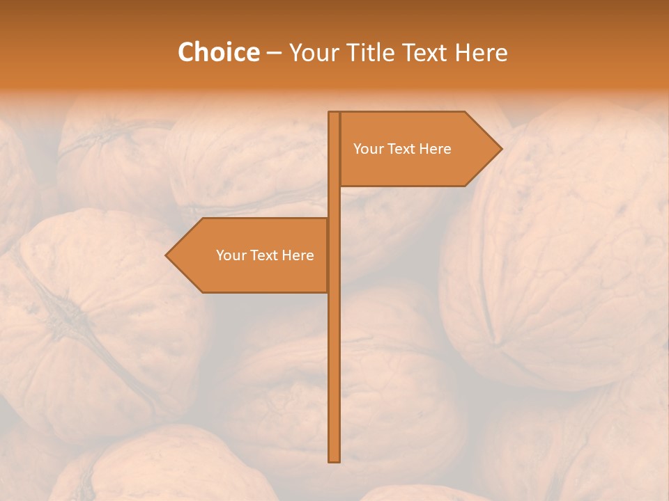 Shell Walnut Nut PowerPoint Template