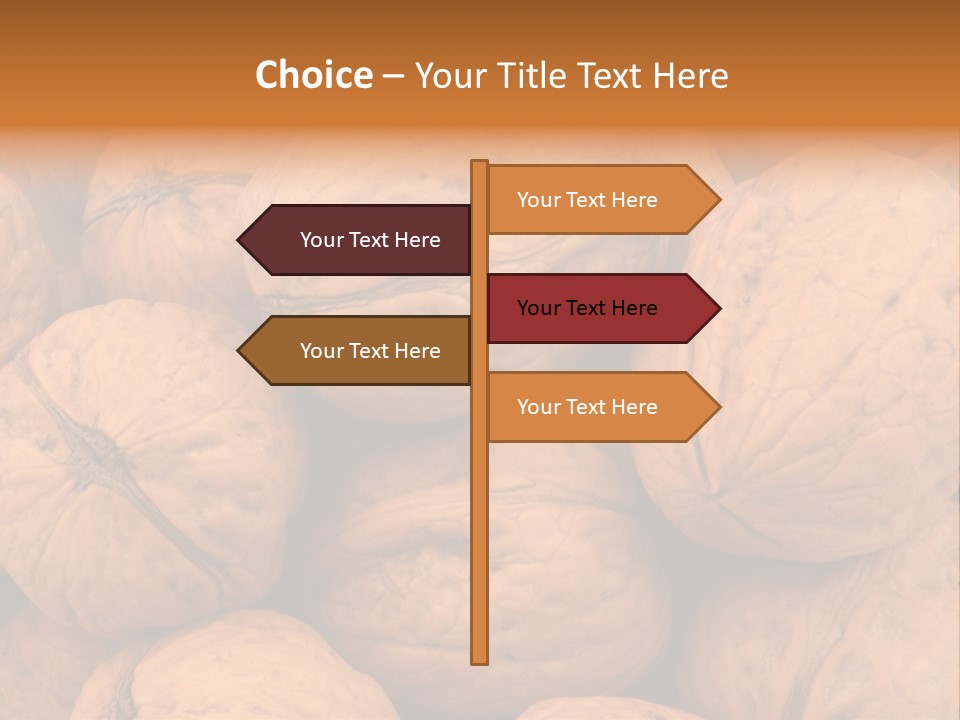 Shell Walnut Nut PowerPoint Template